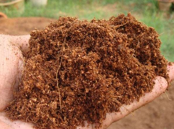 Loose Coco Peat